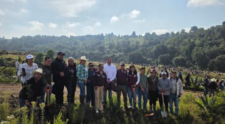 Se suman congresistas mexiquenses a Jornada Nacional de Reforestación