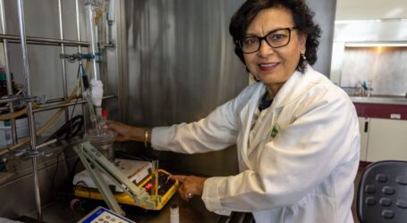 De residuo a combustible: biodiésel, una opción para reducir la contaminación ambiental
