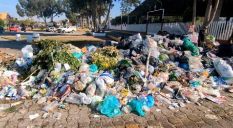Cambia Gobierno de Toluca desorden e impide  acumulación de residuos sólidos en plazas y kioscos