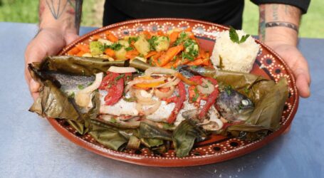 55 Cocineras y 5 Pueblos Originarios En “Saberes y Sabores de mi Tierra”
