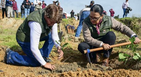 PLANTAN 4 MIL ÁRBOLES EN TEMOAYA, ACUDEN DELFINA Y ROSA ICELA