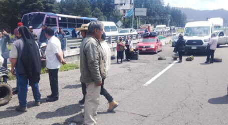 + Jueves, día de perros en la autopista México-Toluca; Lo Que Podemos Hacer Cada Día En Pro de Una Crianza Positiva