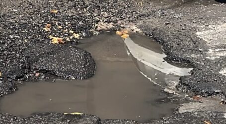 +La competencia para encontrar el bache más grande y viejo de Toluca, hecha por MC; El combate al feminicidio no está en la agenda política de Morena