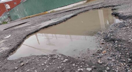 LA UTILIDAD DE LOS BACHES CARACTERÍSTICOS DE TOLUCA