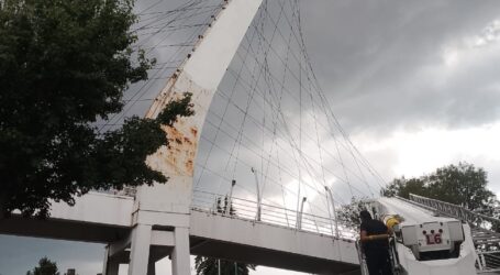 ¡Lotería! Con un “zarpazo” de tigre el Puente de Ciudad Universitaria, revive