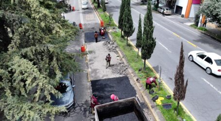 SEGUIRÁ BACHEO EN MORELOS, FABELA, PINO SUÁREZ, SOR JUANA Y HUMBOLDT