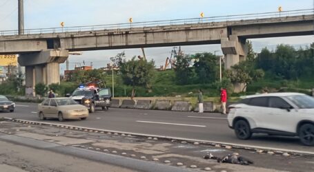 LOCALIZAN CADÁVER EN LA MÉXICO-TOLUCA, ATROPELLADO VARIAS VECES, NO LO IDENTIFICAN