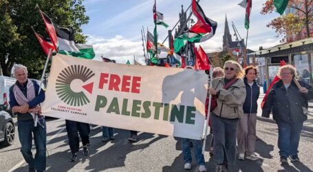10 mil personas con respaldo de 160 organizaciones Pidieron en Dublín fin de ataques a la Franja de Gaza