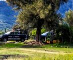 Localizan cadáver en la comunidad De Tepopula, en Malinalco