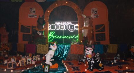 Entre leyendas y fauna silvestre, celebran Día de Muertos con Recorrido Nocturno en Zacango
