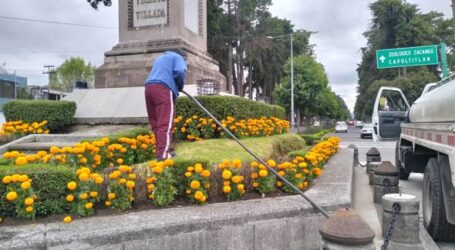 Se viste Toluca de amarillo y se llena del olor de la tradición con 18 mil macetas de cempasúchil
